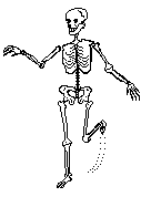 skeleton