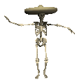 skeleton