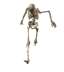 skeleton